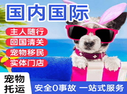 乌鲁木齐地窝堡机场邮寄国际宠物托运 【国